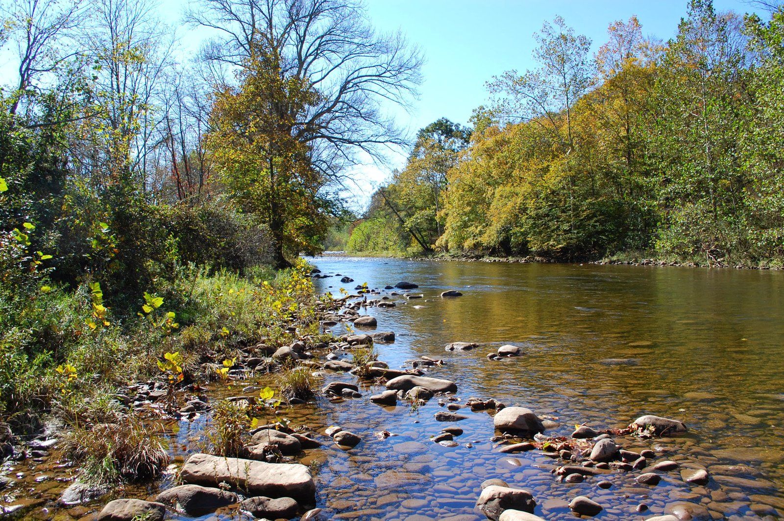 The Dry Fork River running across the property — clear water, rocks to hop across, and wooded banks turning gold in fall